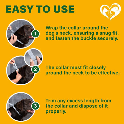 Flea & Tick Collar for Dogs 6-Month Protection Essential Oil Repellent 1 Pack