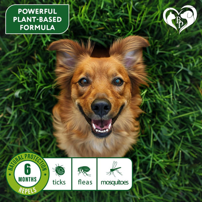 Flea & Tick Collar for Dogs 6-Month Protection Essential Oil Repellent 1 Pack