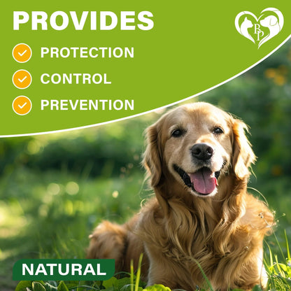 Flea & Tick Collar for Dogs 6-Month Protection Essential Oil Repellent 1 Pack
