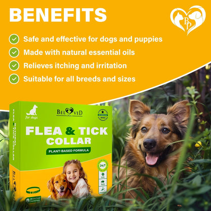 Flea & Tick Collar for Dogs 6-Month Protection Essential Oil Repellent 1 Pack