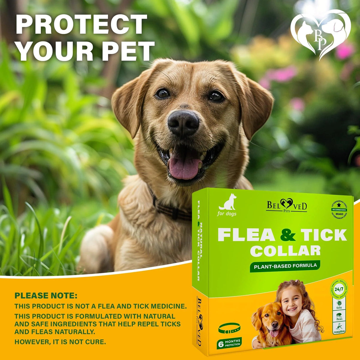 Flea & Tick Collar for Dogs 6-Month Protection Essential Oil Repellent 1 Pack